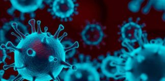 Síntomas y características de gamma, la variante de COVID-19 más propagada en RD