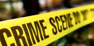 Hallan en La Vega dos cadáveres calcinados en un vehículo