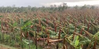 Ministro de Agricultura evalúa daños causados por tornado en Mao