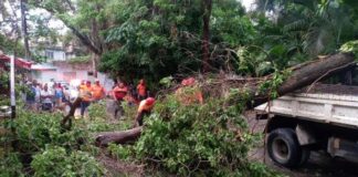 Torrenciales lluvias y ventarrones generan varios daños en el Cibao