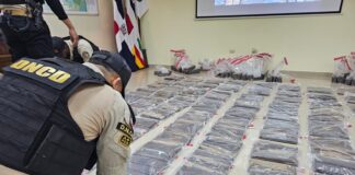 CONFISCAN 880 LÁMINAS DE COCAÍNA CAMUFLADAS EN CAJAS DE CARTÓN EN SANTIAGO