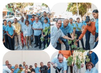 Alcaldía del Distrito y regidores plantan árboles junto a estudiantes del Ensanche Luperón