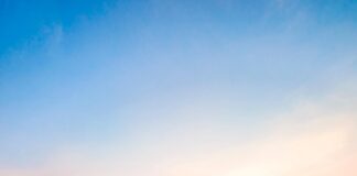 Adoexpo expresa preocupación ante aranceles impuestos por el presidente Trump