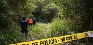 Encuentran cadaver en Pedro Brand