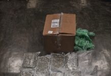 DNCD confisca otros 15 paquetes de presunta Marihuna en el AILA