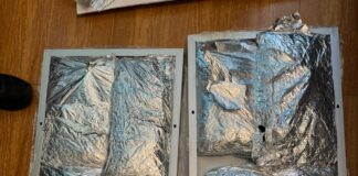 INCAUTAN OCHO PAQUETES DE PRESUNTA MARIHUANA CAMUFLADOS EN PANELES SOLARES