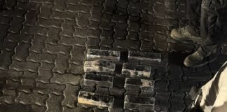 DNCD OCUPA 69 PAQUETES DE PRESUNTA COCAÍNA OCULTOS EN PUERTAS Y PISO DE UN CONTENEDOR