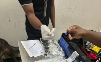 DNCD arresta francés en Aeropuerto de Punta Cana con cuatro paquetes de cocaína