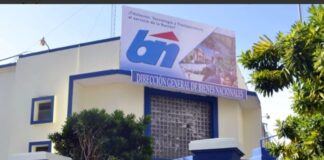 Despiden a joven en plena licencia médica de Bienes Nacionales