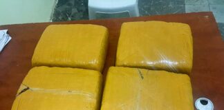 Ejército ocupa cuatro pacas de presunta marihuana abandonadas en zona fronteriza de Elías Piña