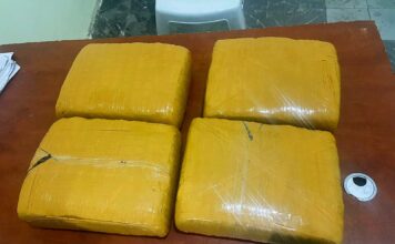 Ejército ocupa cuatro pacas de presunta marihuana abandonadas en zona fronteriza de Elías Piña