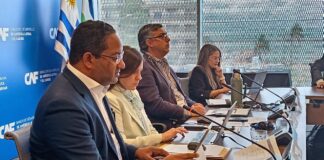 República Dominicana asumirá una vicepresidencia del Comité de Discapacidad de la OEA