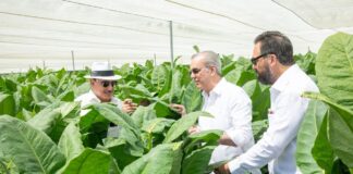 Presidente Abinader visita finca tabacalera “La Milagrosa” de Arturo Fuente en Monte Plata