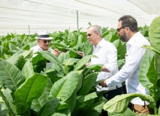 Presidente Abinader visita finca tabacalera “La Milagrosa” de Arturo Fuente en Monte Plata