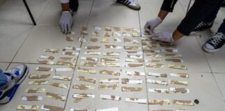 DNCD impide envío a España de 735 láminas de presunta cocaína camufladas en cajas de