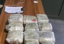 EN BARAHONA: DETIENEN CHOFER Y COBRADOR DE AUTOBÚS CON ONCE PAQUETES DE PRESUNTA MARIHUANA
