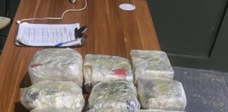 EN BARAHONA: DETIENEN CHOFER Y COBRADOR DE AUTOBÚS CON ONCE PAQUETES DE PRESUNTA MARIHUANA