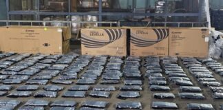 Decomisan 1,100 paquetes de presunta marihuana en Puerto Plata