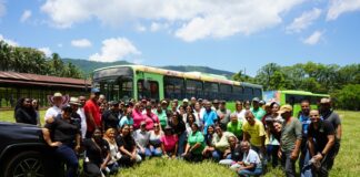 OMSA desarrolla jornada de reforestación en ocasión del Día del Árbol
