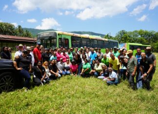 OMSA desarrolla jornada de reforestación en ocasión del Día del Árbol