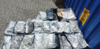 Autoridades intervienen 133 paquetes de Marihuana en el puerto de Haina Oriental