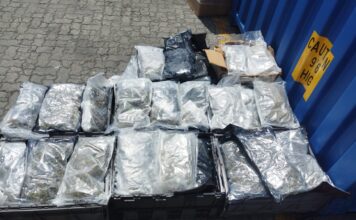 Autoridades intervienen 133 paquetes de Marihuana en el puerto de Haina Oriental