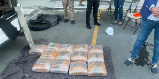 Interviene en Azua alijo de 129 libras de marihuana ocultos en un vehículo