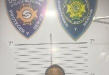 Se entrega «chuleta» acusado de ultimar mujer de 76 años en El Almirante